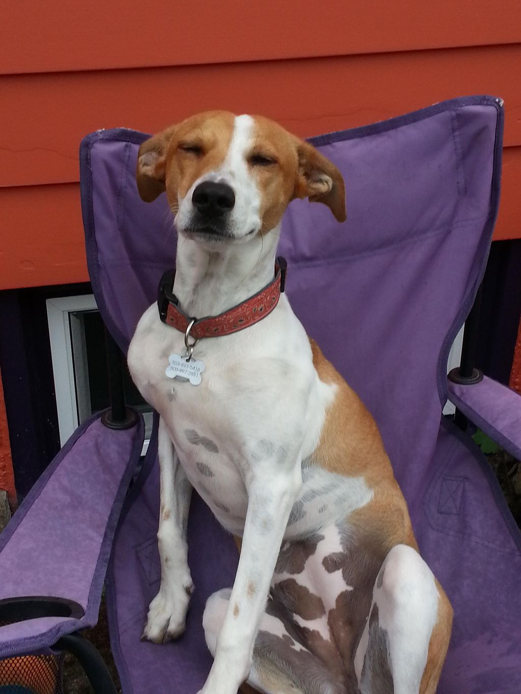 Luvin' me some sunshine and Judy time!