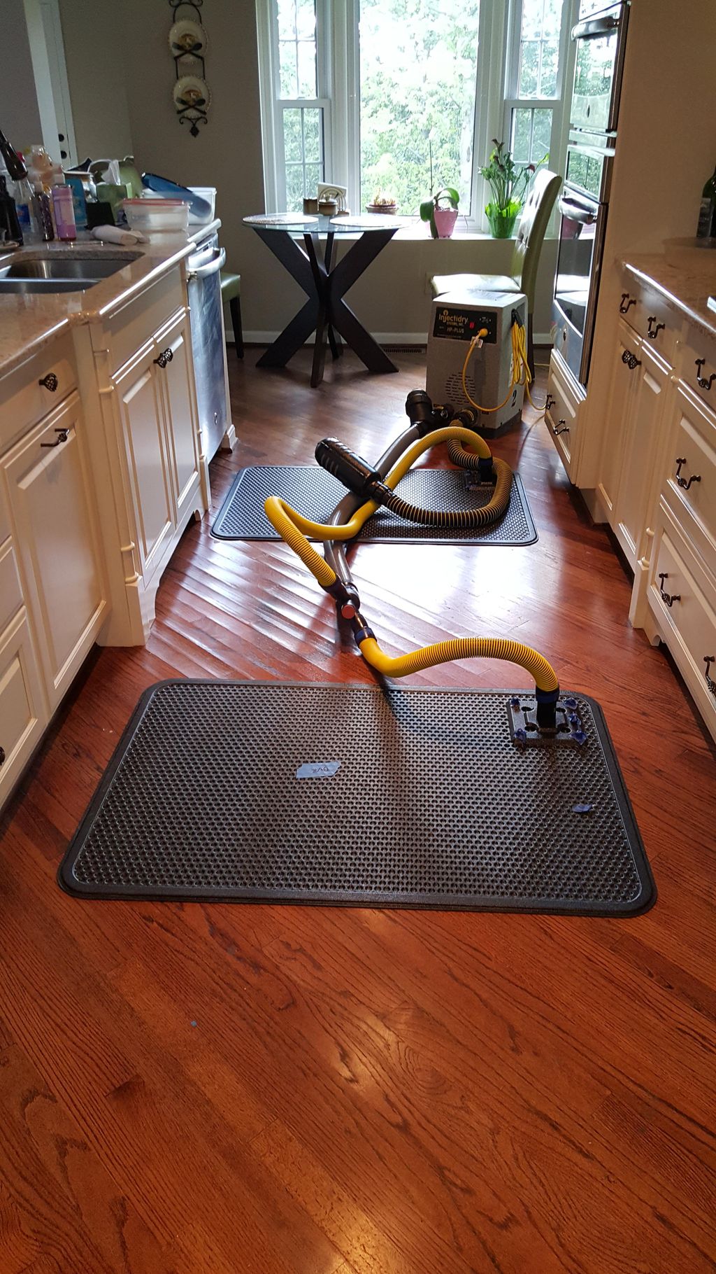 Drying hardwood flooring in kitchen
