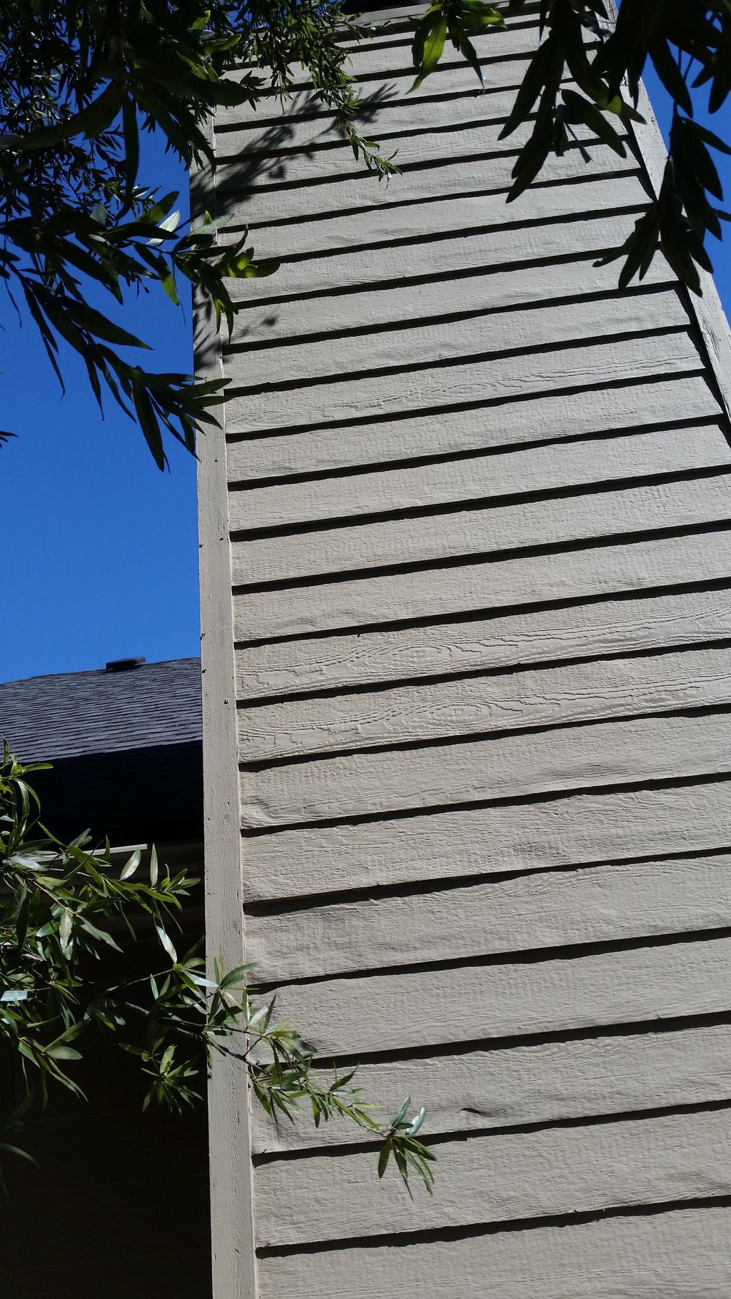 Moisture damaged siding