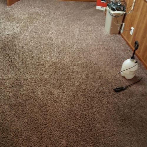 carpet cleaning- after - WOW