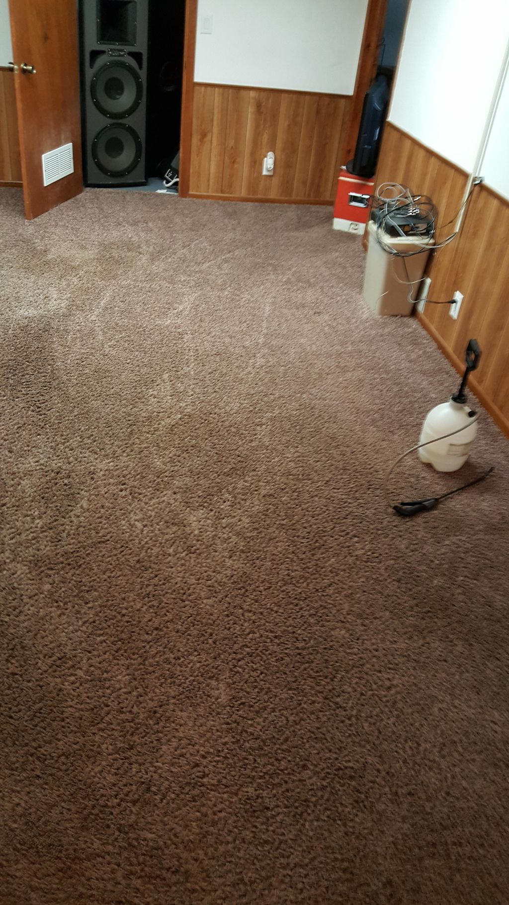 carpet cleaning- after - WOW