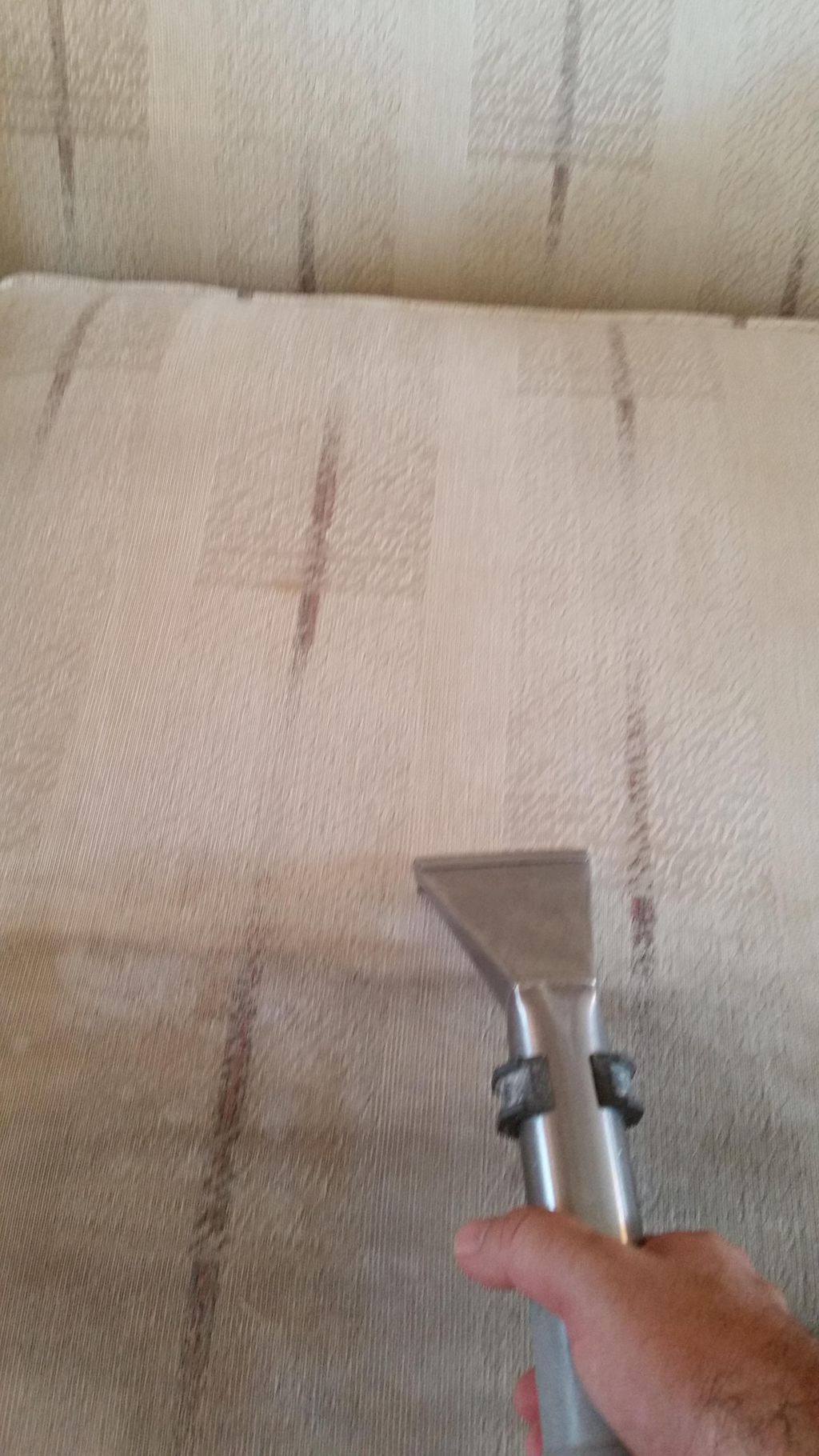 Tauro Carpet Cleaning