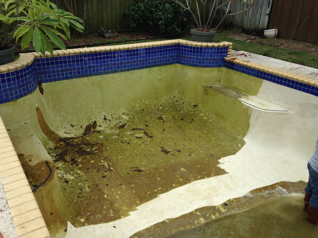 Pool Drain & Pressure Wash