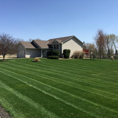First cut of the spring