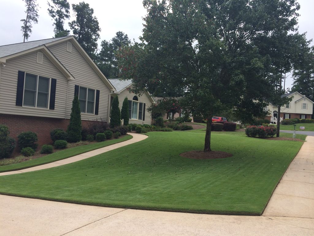 Emerald Zoysia