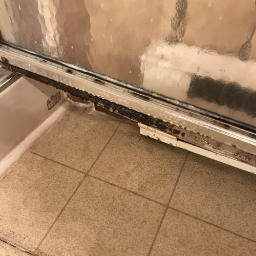 Mold on shower door beforehand 
