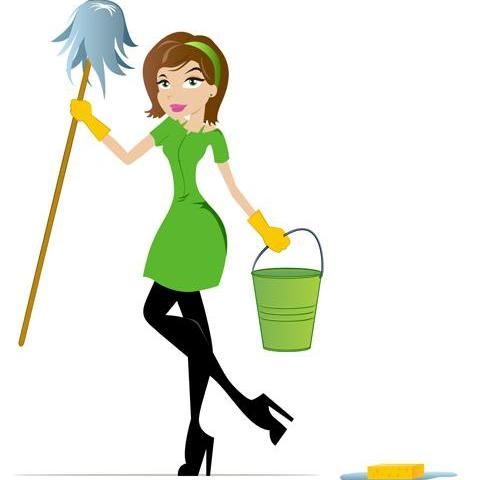 Pry's Cleaning & Homecare Services