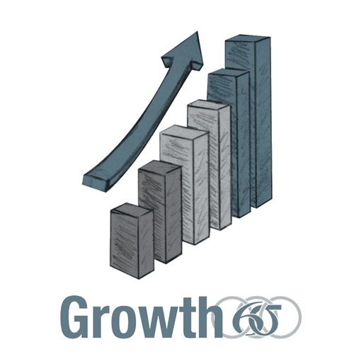 Consulting that manages growth with a vision that 