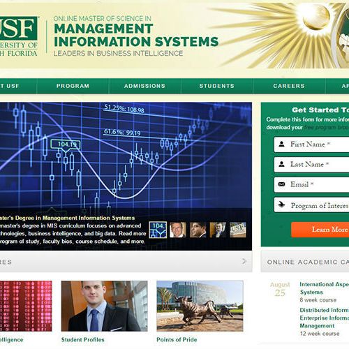 mis.usf.edu: A Marketing site for Management Infor