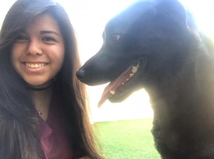 hanging out with our 100lb rescue dog, Buster, at 