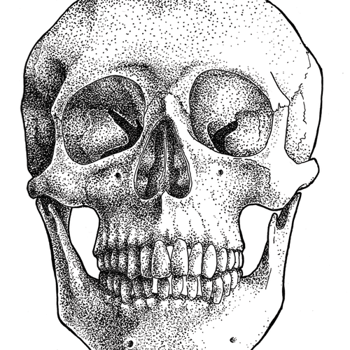 Stippled skull illustration. Personal.