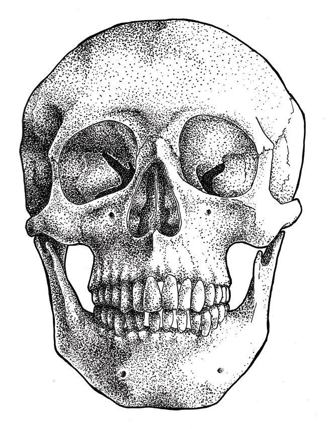 Stippled skull illustration. Personal.