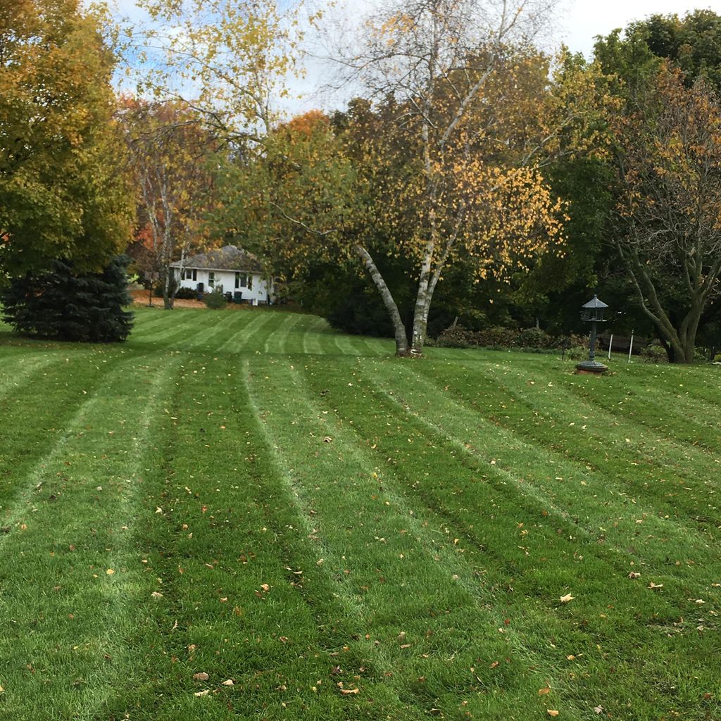 CURB APPEAL LAWN CARE