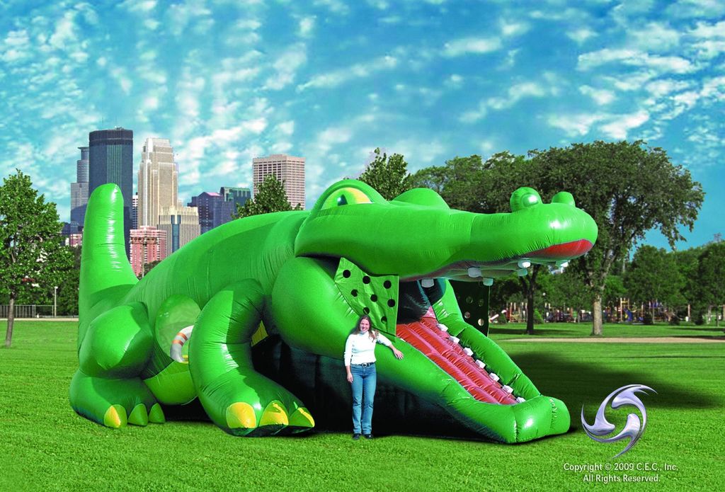 Fun Master Inflatable Rental Water Slide for Large
