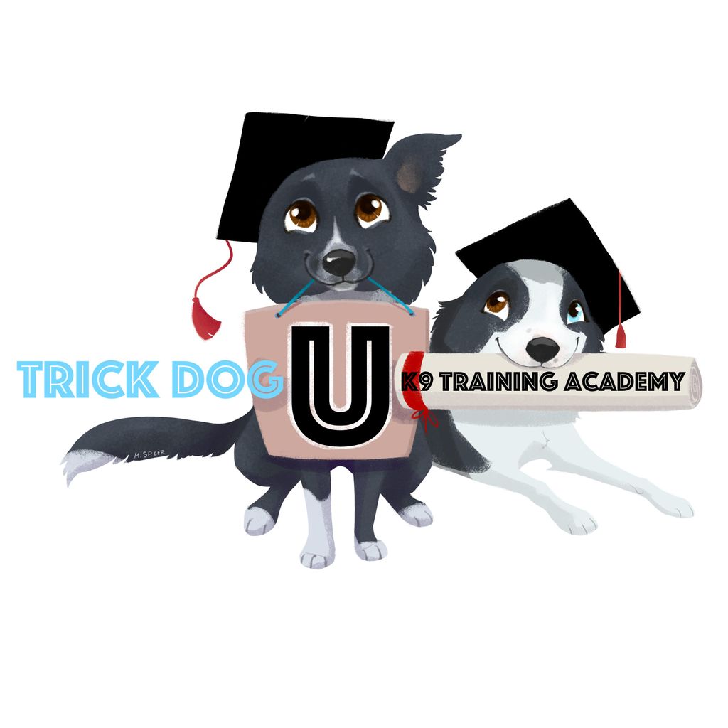 Trick Dog U K9 Training Academy