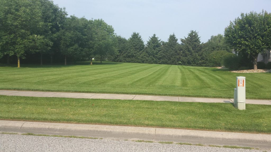 Another Striped Lawn!