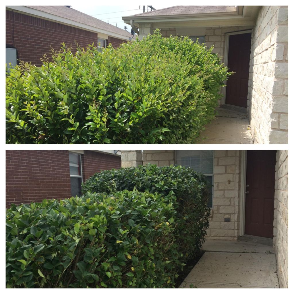 Give your house some curb appeal!