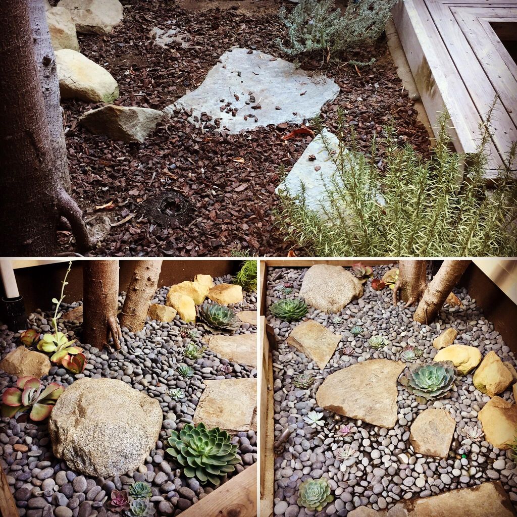 Monarca Landscape Design | Venice, CA | Thumbtack