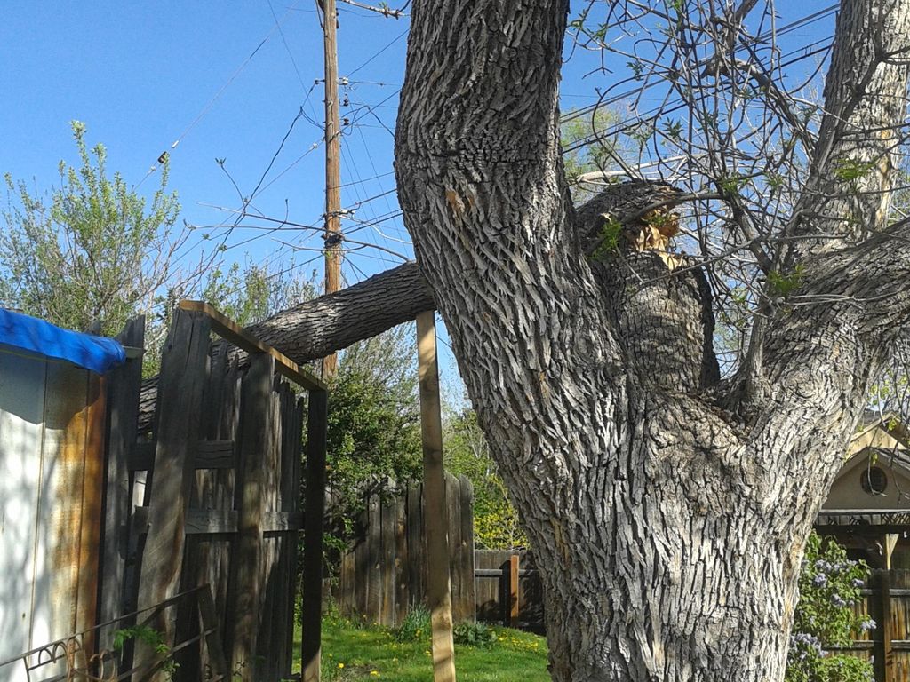 Broken Ash lead.  Used Jack and rigging to remove 