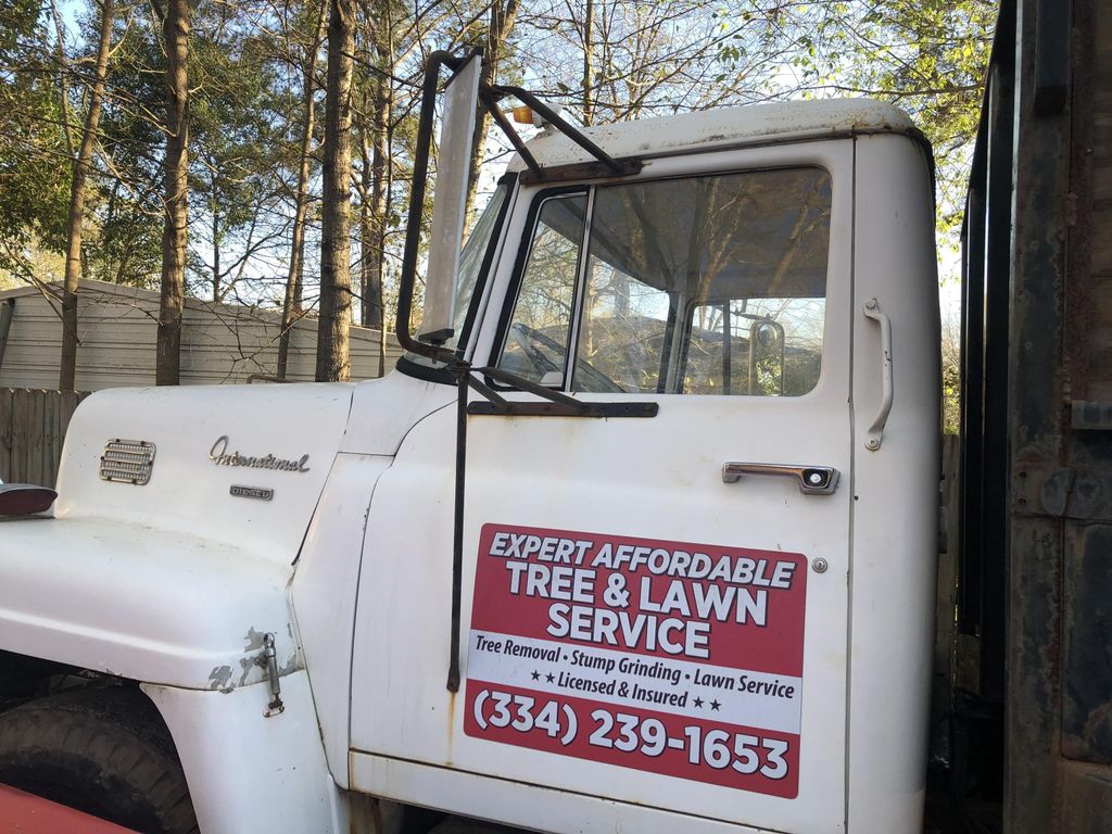 Expert Affordable Tree An Lawn Service