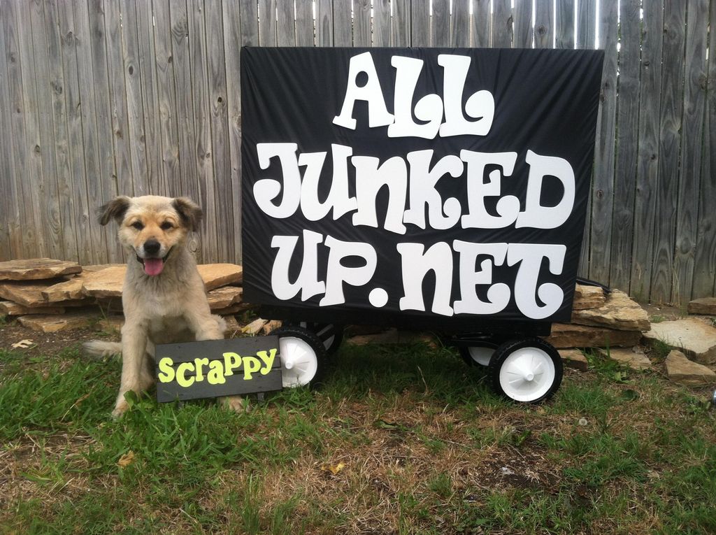All Junked Up Junk Removal and Hauling