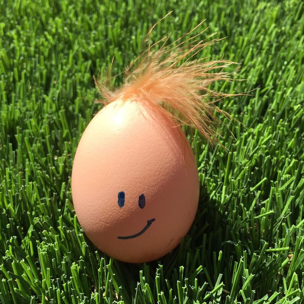 An egg from my chicken farm
