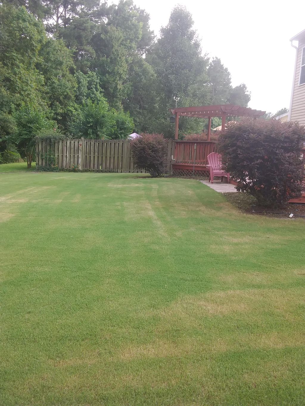 freshly mowed
