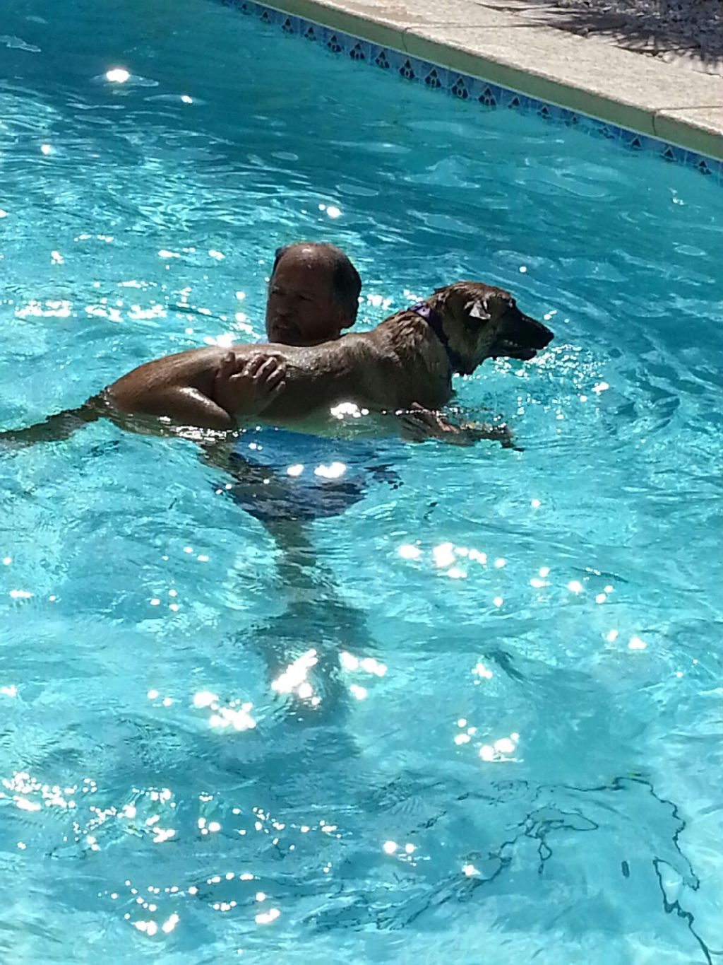 Sasha learning to swim