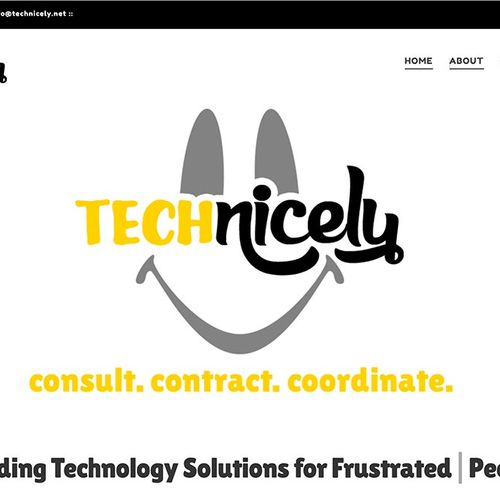 Tech Nicely branding & website