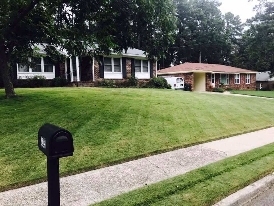 zoysia lawn