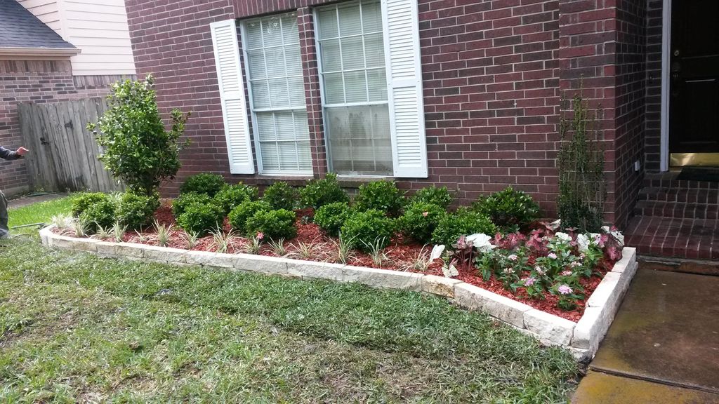 Re construction of a home with Indian Hawthorns Az