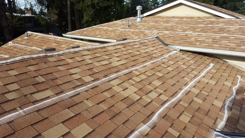 Moss Control Redmond, Kirkland, Bellevue