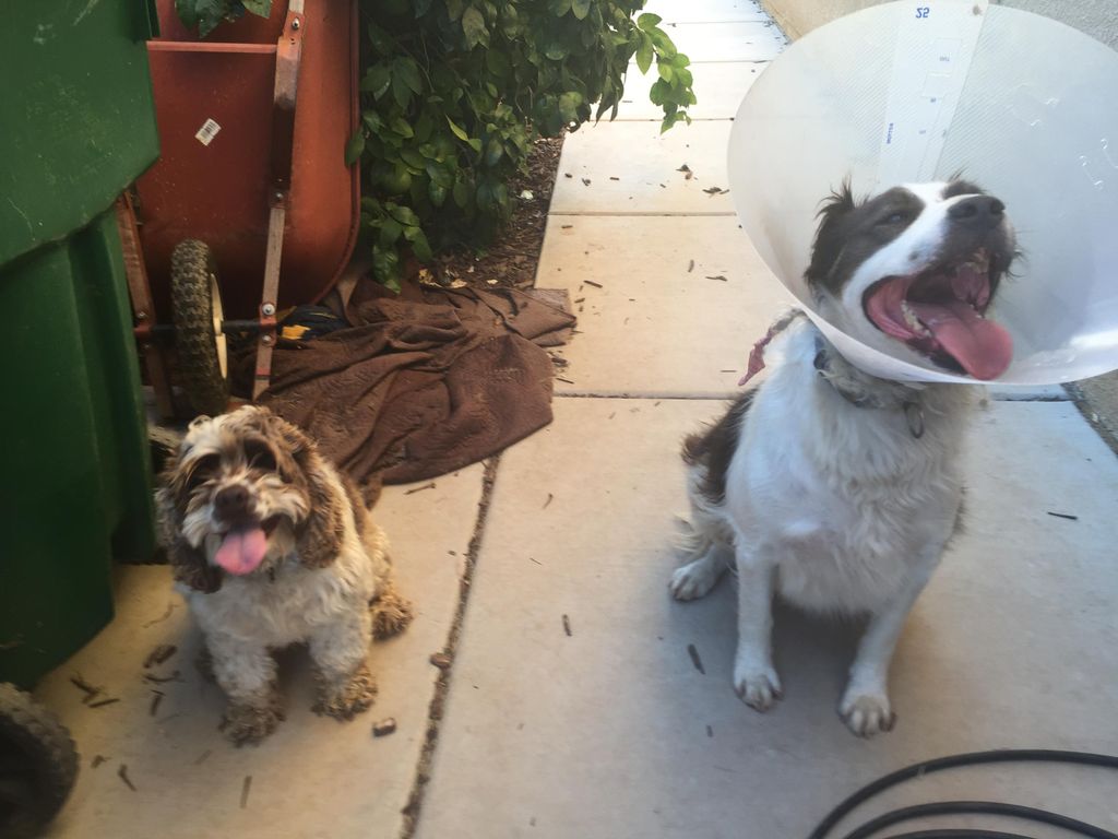 Post-op care