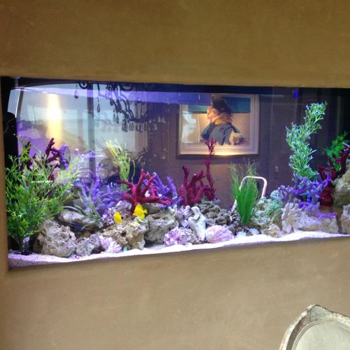 250 gallon saltwater aquarium