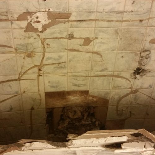 Black mold and rotted drywall