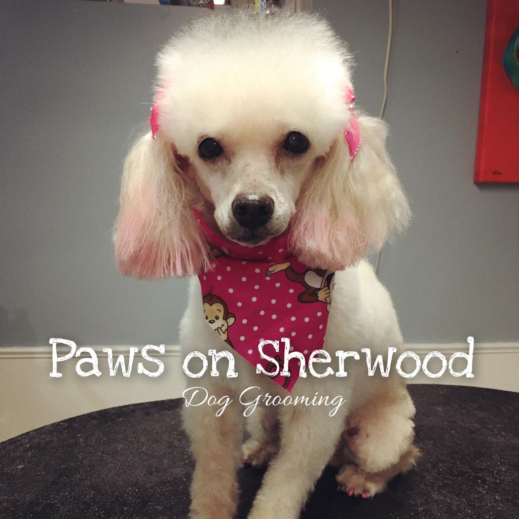 Paws on Sherwood