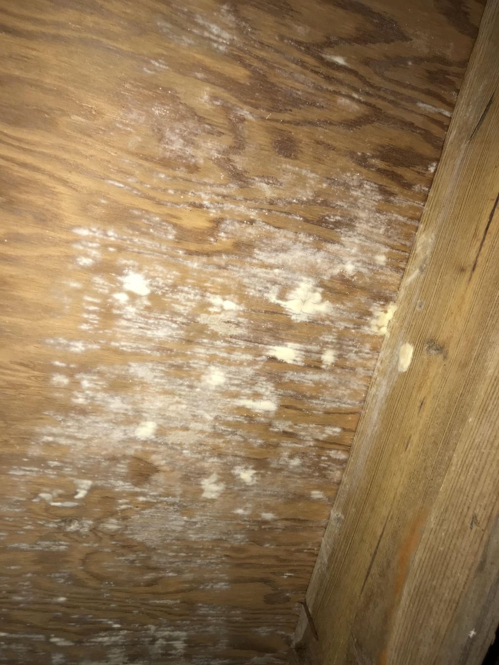 Crawl space Before