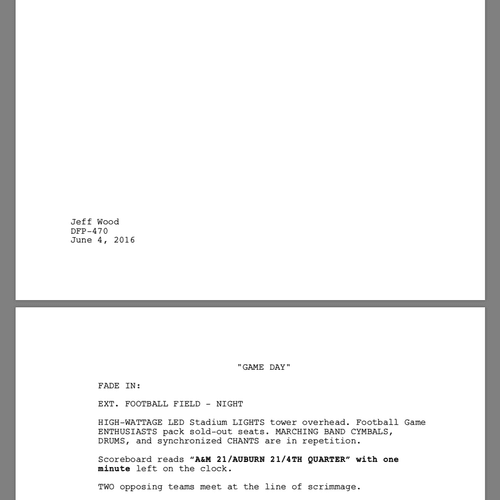 Original Script Writing Sample