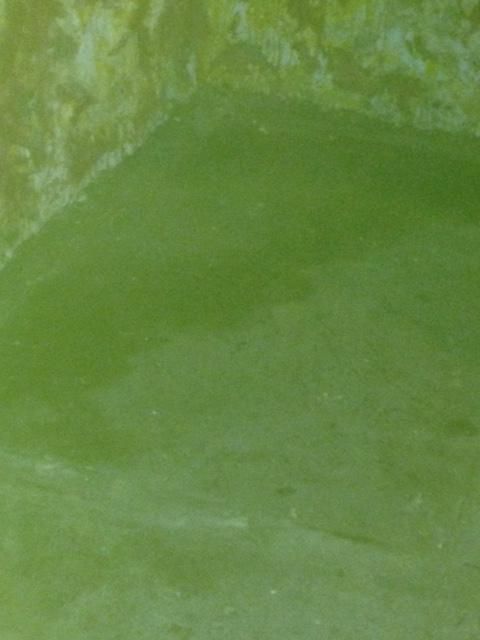 A typical basement inspection.   Where there's wat