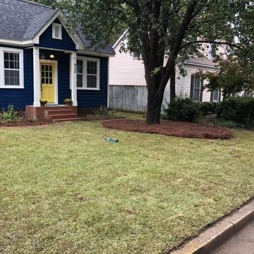 Centipede Sod and Pine Straw 