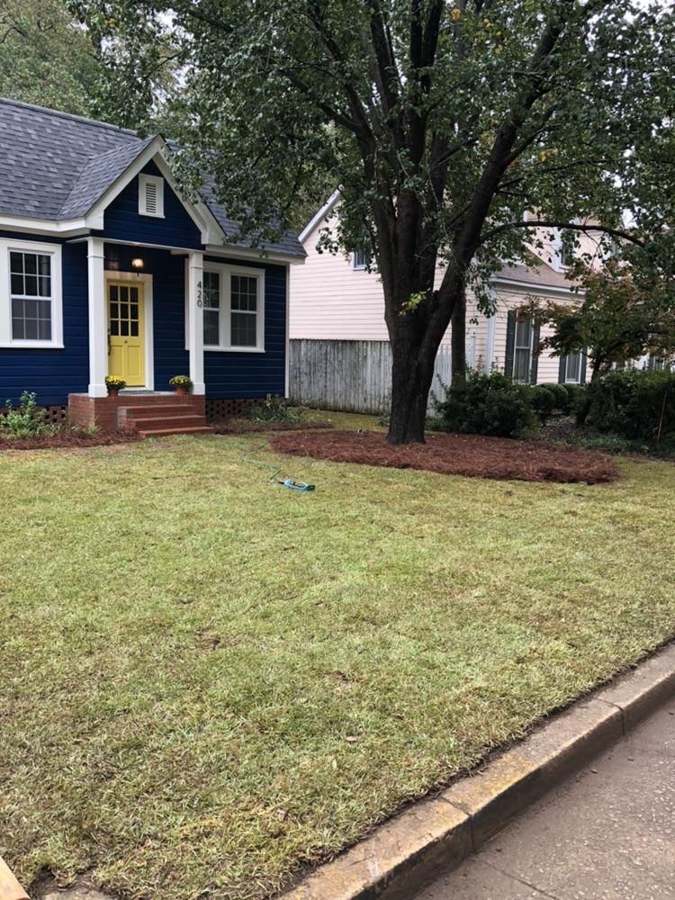 Centipede Sod and Pine Straw 