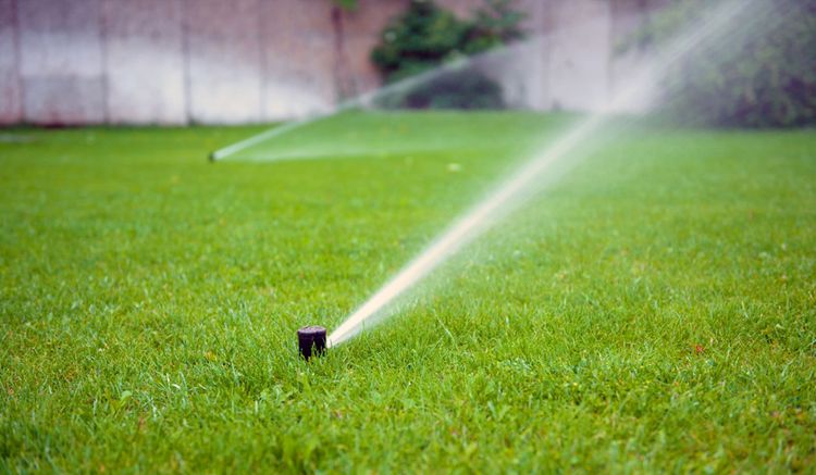 Sprinkler systems or Drip irrigation we do it all 