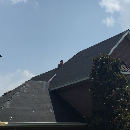 Shingle Roof Replacement 