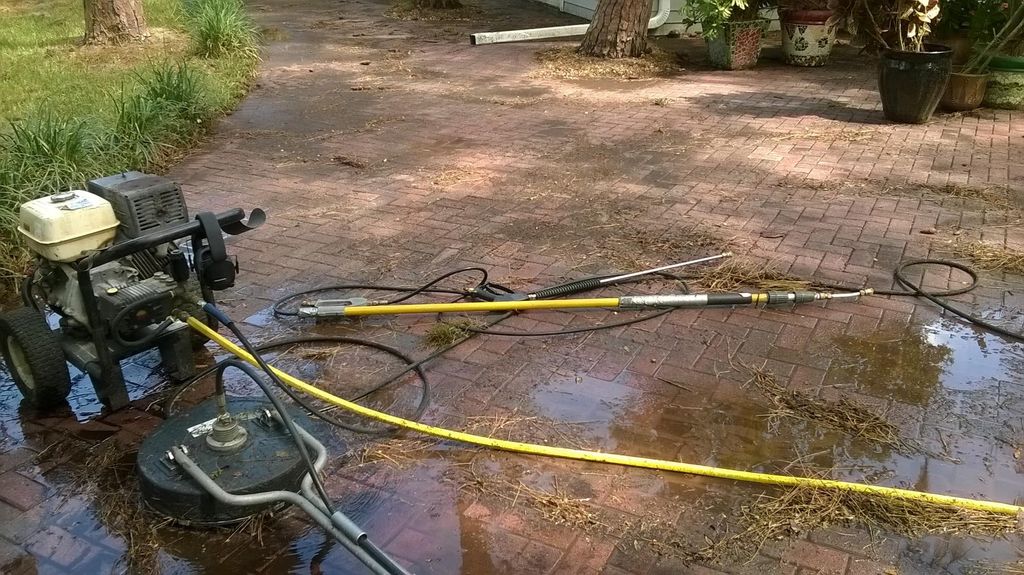 BEFORE: Remove moss, mildew from pavers