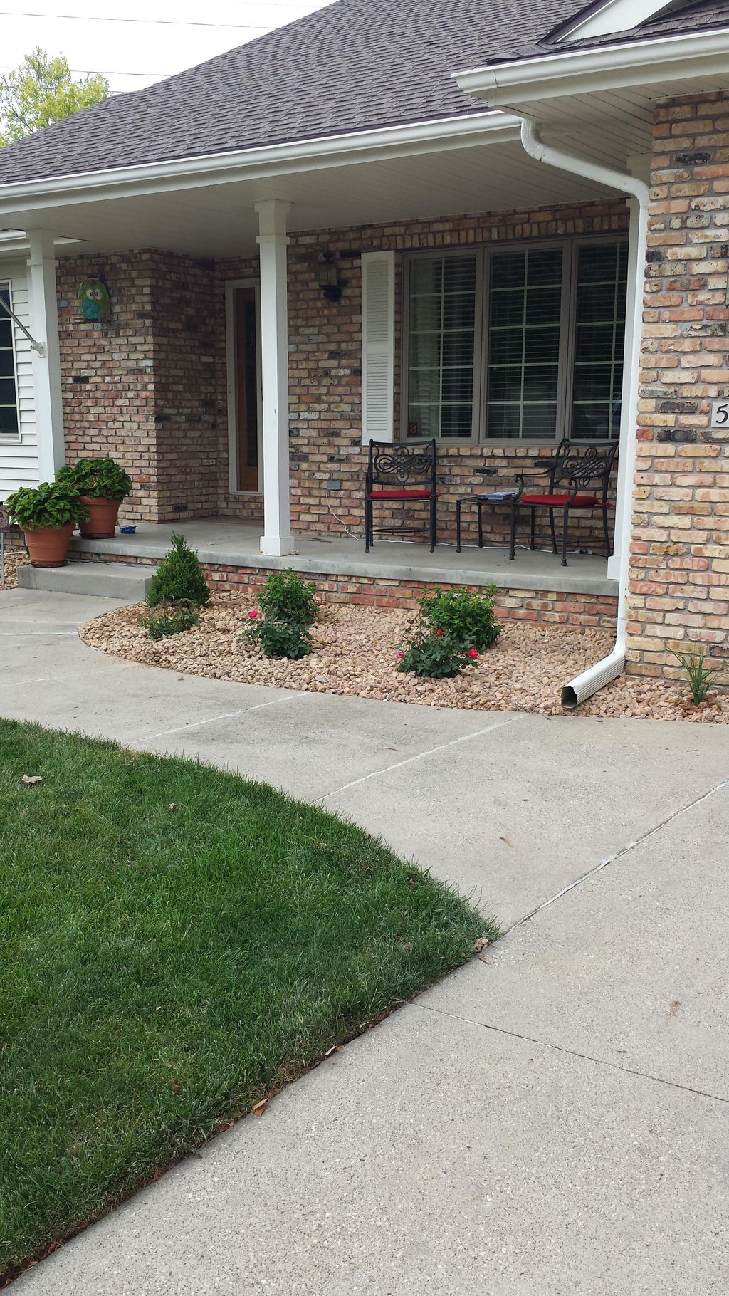 Adding new plants and rock