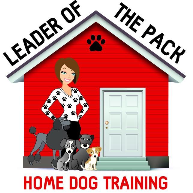 Leader of the hot sale pack dog daycare