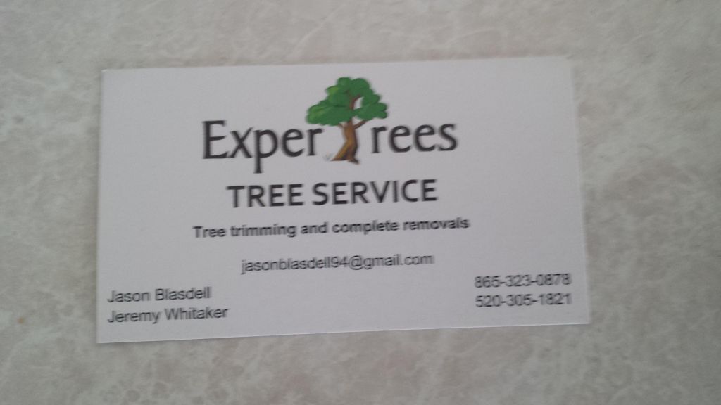 ExperTrees tree service and Landscaping