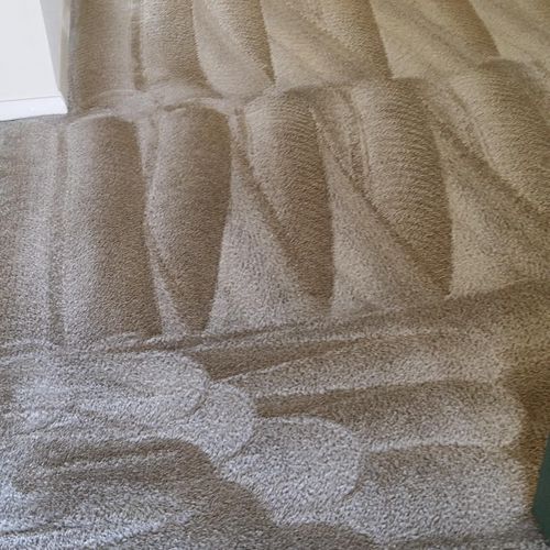Exceptional Carpet cleaning