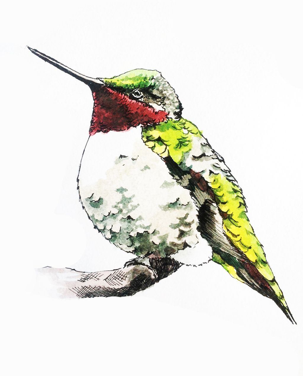 Watercolor and ink on paper.