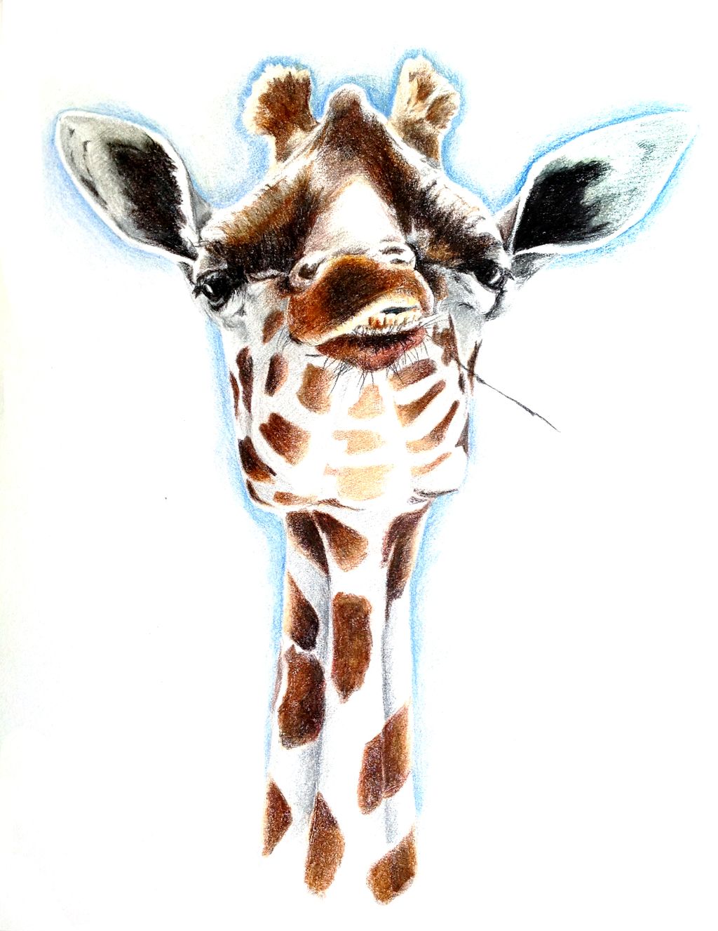 Colored pencil on paper.